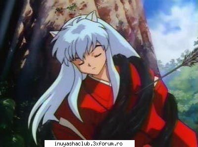 Galerie inuyasha - pink - Galerie